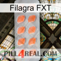 Filagra FXT 26